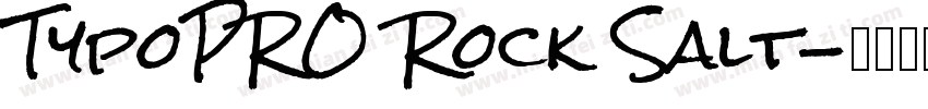 TypoPRO Rock Salt字体转换